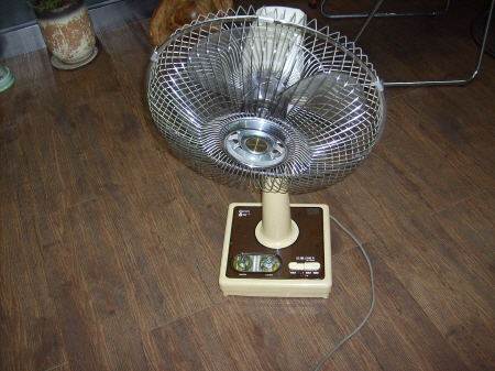 [ũ⺯ȯ]S5004860.jpg